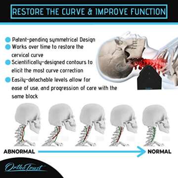 Zenith Cervical Traction Orthotic Chiropractic Neck Corrector 3-in-1 Device for Stretching Forward Head Posture Physical Therapy & Pain Relief