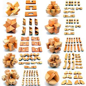 Guaishou 10-in-One Wooden Puzzles for Brain Teasers