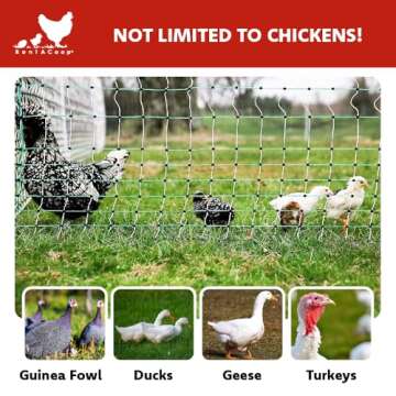 RentACoop Electric Anti-Predator Poultry Fence - Suitable for Chickens, Ducks, Turkeys, and Other Poultry - Energizer Not Included - 168' L x 42" H