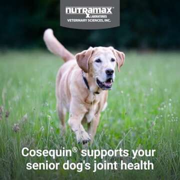 Cosequin Joint Health Supplement for Senior Dogs - 60 Soft Chews