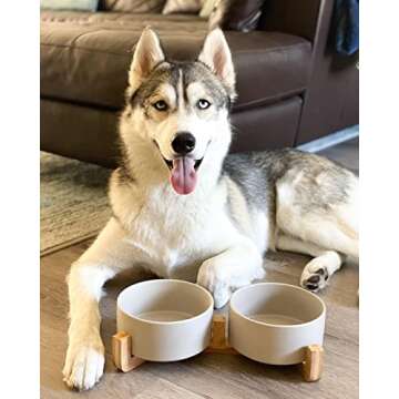SPUNKYJUNKY Ceramic Dog and Cat Bowl with Wood Stand Non-Slip Matte Glaze Weighted Food Water Set fo...