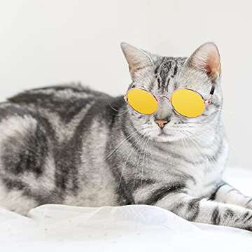 Molain Pet Sunglasses - Retro UV Protection for Pets