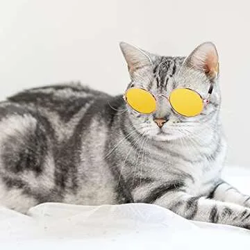 Molain Pet Sunglasses - Retro UV Protection for Pets
