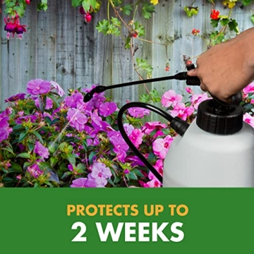 Spectracide Immunox Fungicide Spray For Gardens, 16 Ounces