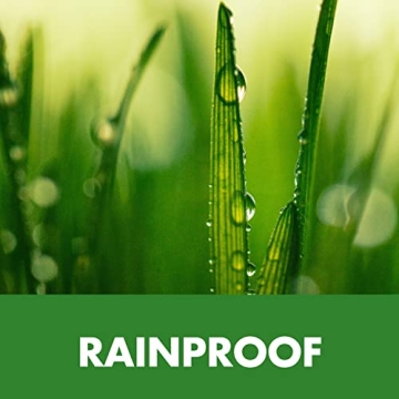 Spectracide Immunox Fungicide Spray For Gardens, 16 Ounces