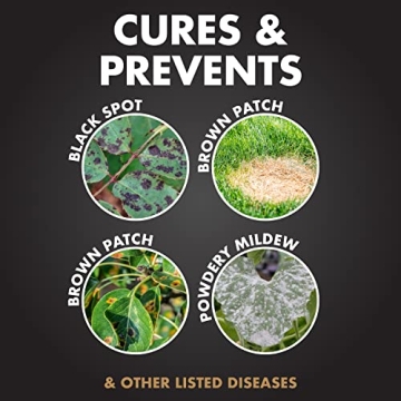 Spectracide Immunox Fungicide Spray For Gardens, 16 Ounces