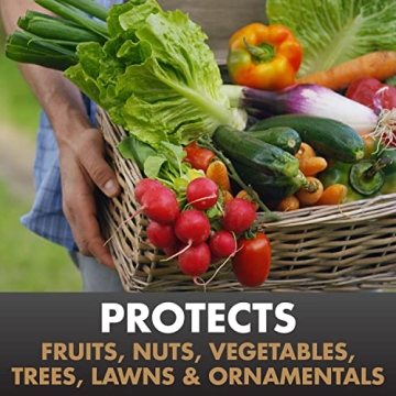 Spectracide Immunox Fungicide Spray For Gardens, 16 Ounces