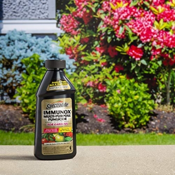Spectracide Immunox Fungicide Spray For Gardens, 16 Ounces