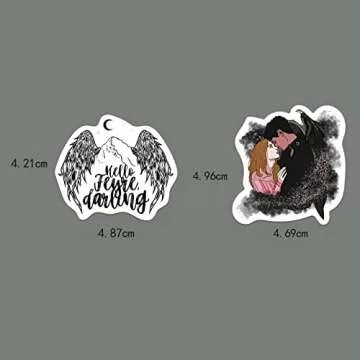 Liphontcta 60Pcs Cartoon Acotar Merchandise Stickers for Laptop Cellphone Water Bottle Skateboard Luggage Car Bumper WJHSL