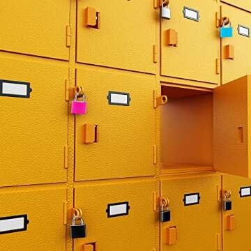 4 Pcs Suitcase Locks with Keys Multicolor Mini Keyed Padlock Febwind Metal Padlock Luggage Padlocks Plastic-Covered Copper Keyed Padlock for Suitcase, Backpack, Boxes, Laptop Bag