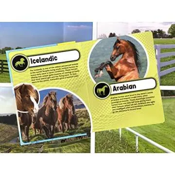 World of Horses My Busy Books for Kids