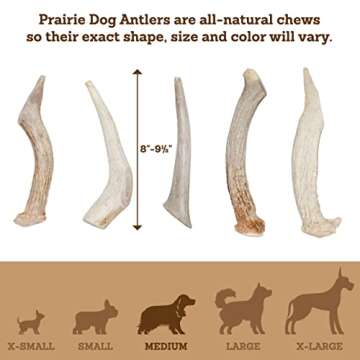 Prairie Dog Pet Products Deer Large Antler Treat, 8-9"