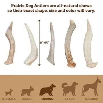 Prairie Dog Pet Products Deer Large Antler Treat, 8-9"