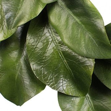 Magnolia Leaf Grapevine Wreath Quality Home Decor 16"