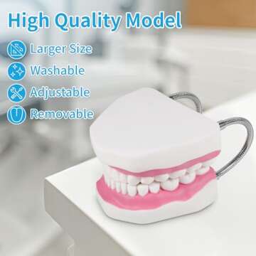 Annhua Large Anatonmical Teeth Model 6 Times Dental Hygiene Teeth Models, Dentist Teaching Oral Care Model with Detachable Tongue and Denture Toothbrush