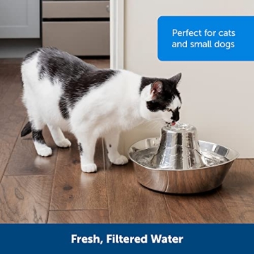 PetSafe Seaside Pet Water Fountain for Dogs and Cats