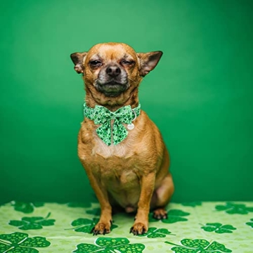 UP URARA PUP St. Patrick’s Day Dog Collar with Bow Tie