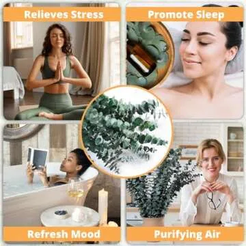 12 Pcs Dried Eucalyptus for Shower Hanging - 17'' Real Large Preserved Eucalyptus Stems Green Home Decor, 100% Made from Fresh Eucalyptus Leaves, Bathroom Shower Decor, Wedding, DIY