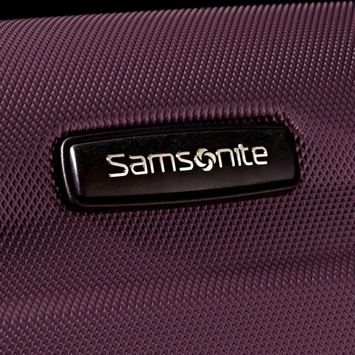 Samsonite Omizio 20-Inch Carry-On Spinner Luggage