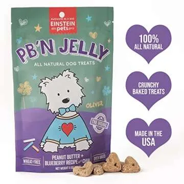 Einstein Pets Everydays PB’N Jelly Crunchy Heart Shaped Treats, All Natural Protein Packed Organic Dog and Puppy Baked Biscuit Training Treat, Peanut Butter Blueberry Recipe with CHIA, 6 Ounce Bag