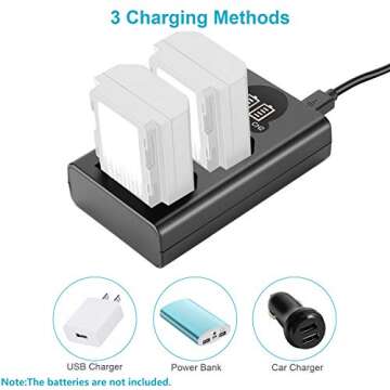 Neewer Dual USB Charger for Sony NP-FZ100 Battery, Compatible with Sony ZV-E1, FX3, FX30, A1, A9 II, A7R V, A7S III, A7 IV, A6600, A7C Cameras, Designed with LCD Display, Versatile Charging Options