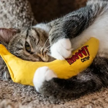 Yeowww! Catnip Toy Yellow Banana for Playful Cats