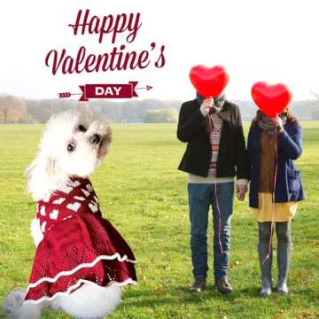 MuYaoPet Small Dog Sweaters Girl Red Winter Warm Dog Christmas Dress Valentine's Day Costume Clothes Dachshund Chihuahua Corgi (Red, XL)