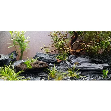 Natural Slate Stones for Aquariums and Terrariums Wholesome Decor