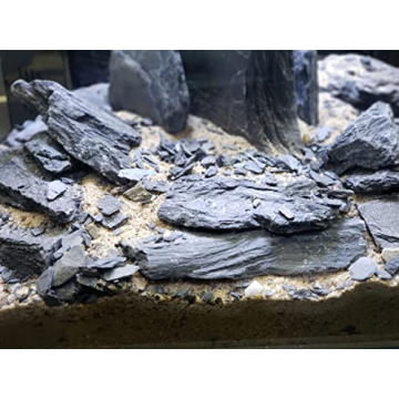 Natural Slate Stones for Aquariums and Terrariums Wholesome Decor