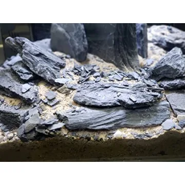Natural Slate Stones for Aquariums and Terrariums Wholesome Decor