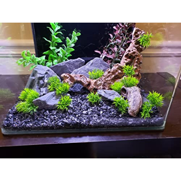 Natural Slate Stones for Aquariums and Terrariums Wholesome Decor