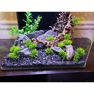 Natural Slate Stones for Aquariums and Terrariums Wholesome Decor