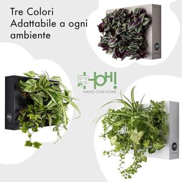 Ortis Green Hang.Oasi.Home - Indoor Vertical Garden, Contains 1 White Planter Unit, Design Your Own Living Wall With Vertical Gardening Planters, Use Indoors, Holds 6 Plants