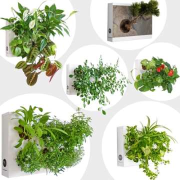 Ortis Green Hang.Oasi.Home - Indoor Vertical Garden, Contains 1 White Planter Unit, Design Your Own Living Wall With Vertical Gardening Planters, Use Indoors, Holds 6 Plants