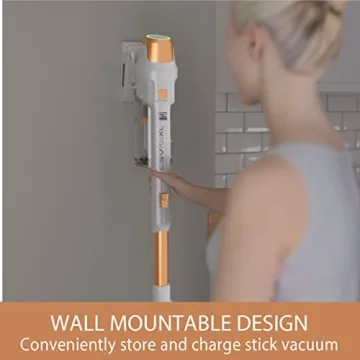 Kenmore DS4030 Cordless Stick Vacuum with EasyReach Wand