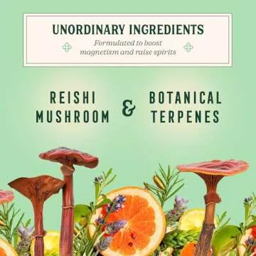 Little Saints Non-Alcoholic Drinks Variety Pack - Sugar Free & Zero Proof Mocktails - Ready-to-Drink Beverage for Parties & Celebrations