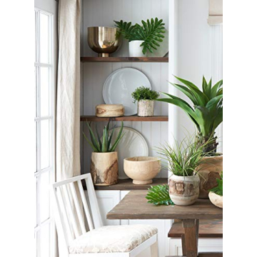 Paulownia Wood Decorative Bowl for Home Decor and Events