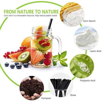 Biodegradable PLA Straws - Eco-Friendly 100 Pcs Pack