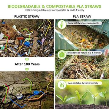 Biodegradable PLA Straws - Eco-Friendly 100 Pcs Pack