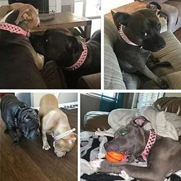 Stylish Spiked Dog Collar with Squeaky Ball for Pets