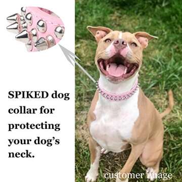 Stylish Spiked Dog Collar with Squeaky Ball for Pets