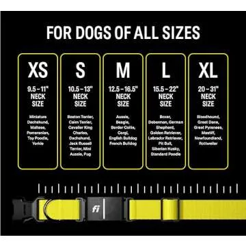 Fi Series 3 Smart Dog Collar - GPS Dog Tracker and Activity & Health Monitor, Waterproof, LED Light, Escape Alerts, Nationwide Coverage [Free 1 Year Membership] (Blue, Large)