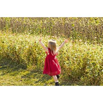 Niyage Toddler Girls Elegant Lace Pom Pom Dress Wine Red
