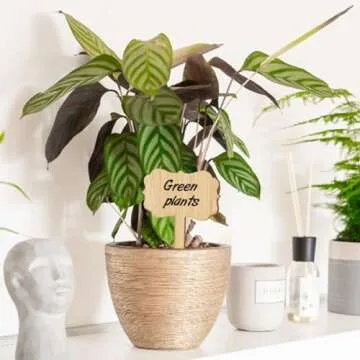 KINGLAKE Bamboo Plant Labels - 60 Eco-Friendly Garden Markers