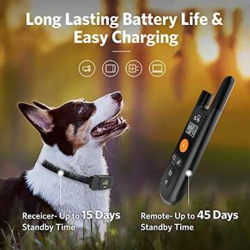 DOG CARE Dog Training Collar - Rechargeable Dog Shock Collar with Beep Vibration Shock Training Modes, Rainproof Receiver, Large Remote Range, 2 Receivers Dog Training Collar with Remote