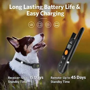 DOG CARE Dog Training Collar - Rechargeable Dog Shock Collar with Beep Vibration Shock Training Modes, Rainproof Receiver, Large Remote Range, 2 Receivers Dog Training Collar with Remote