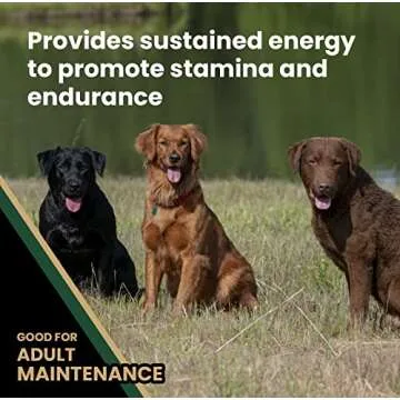 Victor Super Premium Dog Food – 26% Protein Active Dogs