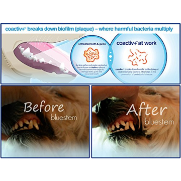 Enhance Dog & Cat Dental Health with Bluestem Additive