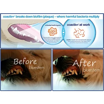 Enhance Dog & Cat Dental Health with Bluestem Additive