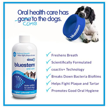 Enhance Dog & Cat Dental Health with Bluestem Additive